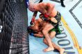Alexander Volkanovski, Yair Rodriguez and UFC 290